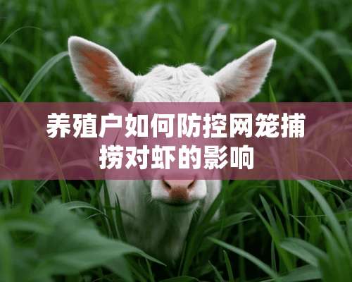 养殖户如何防控网笼捕捞对虾的影响