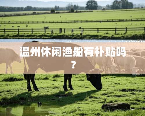 温州休闲渔船有补贴吗？