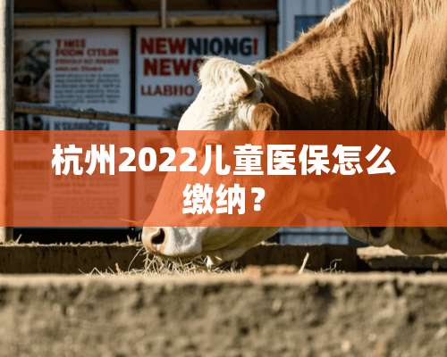 杭州2022儿童医保怎么缴纳？