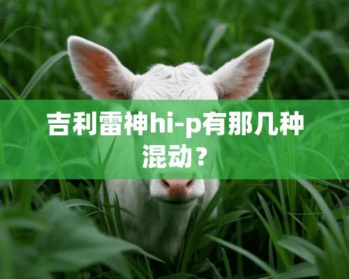 吉利雷神hi-p有那几种混动？