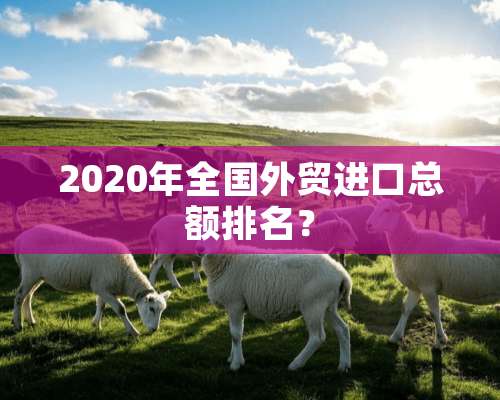 2020年全国外贸进口总额排名？