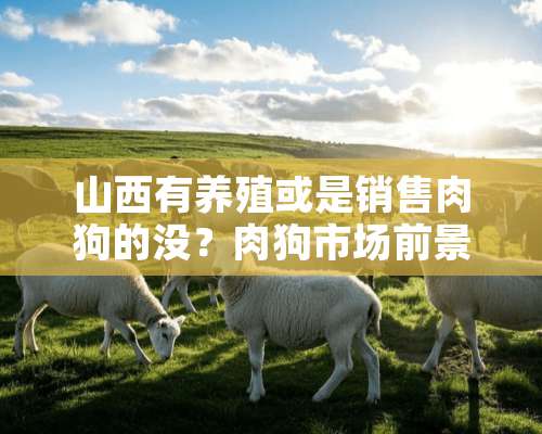 山西有养殖或是销售肉狗的没？肉狗市场前景咋样？