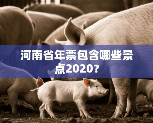 河南省年票包含哪些景点2020？