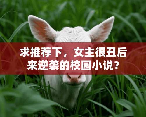 求推荐下，女主很丑后来逆袭的校园小说？