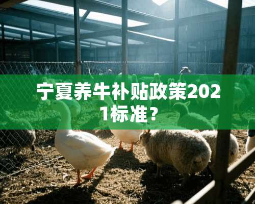 宁夏养牛补贴政策2021标准？