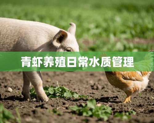 青虾养殖日常水质管理