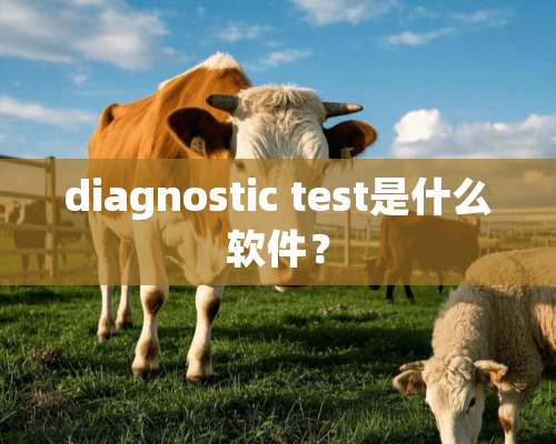 diagnostic test是什么软件？