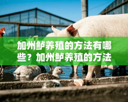 加州鲈养殖的方法有哪些？加州鲈养殖的方法介绍