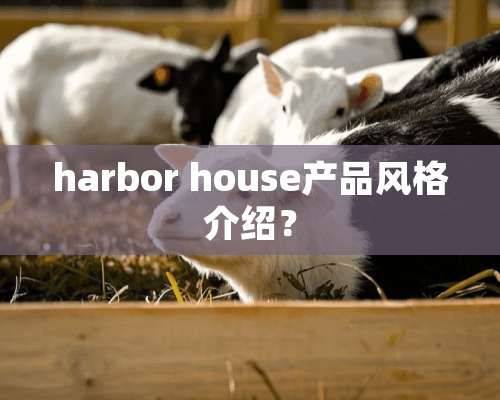 harbor house产品风格介绍？