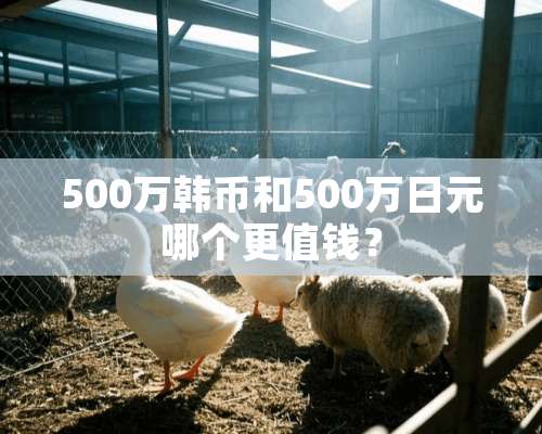 500万韩币和500万日元哪个更值钱？