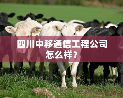 四川中移通信工程公司怎么样？