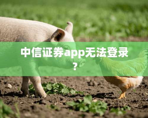 中信证券app无法登录？