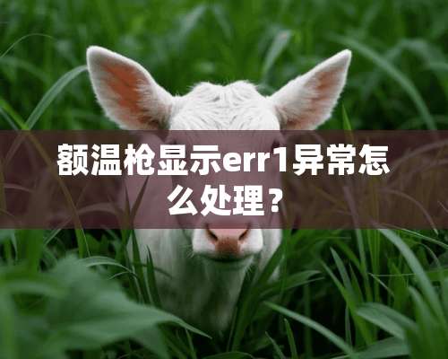 额温*显示err1异常怎么处理？