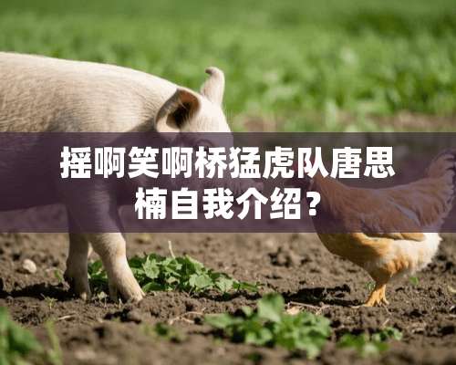 摇啊笑啊桥猛虎队唐思楠自我介绍？