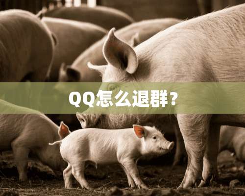 QQ怎么退群？