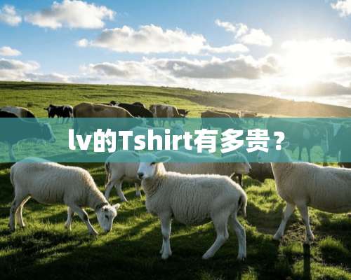 lv的Tshirt有多贵？