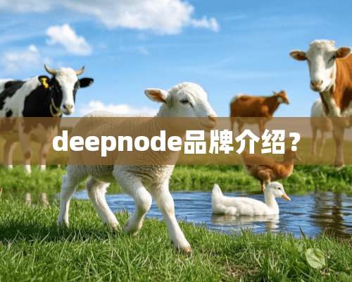 deepnode品牌介绍？