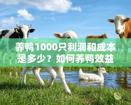 养鸭1000只利润和成本是多少？如何养鸭效益高？