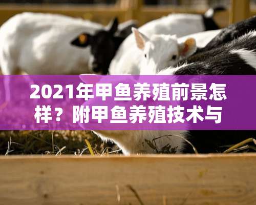 2021年甲鱼养殖前景怎样？附甲鱼养殖技术与管理！