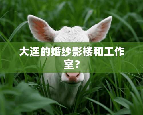 大连的婚纱影楼和工作室？