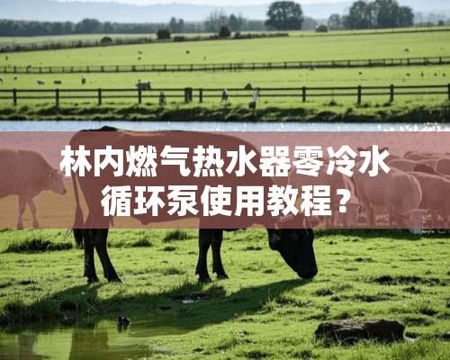 林内燃气热水器零冷水循环泵使用教程？