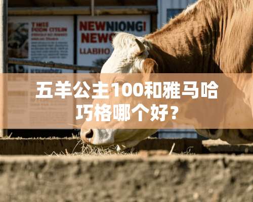 五羊公主100和***巧格哪个好？