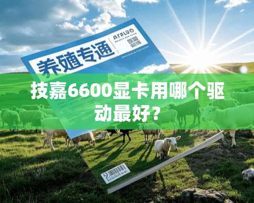 技嘉6600显卡用哪个驱动最好？