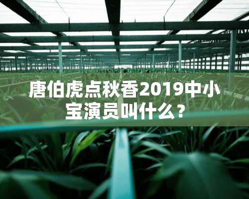 唐伯虎点秋香2019中小宝演员叫什么？