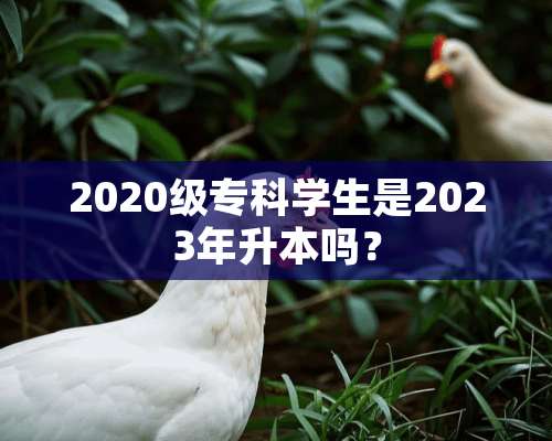 2020级专科学生是2023年升本吗？