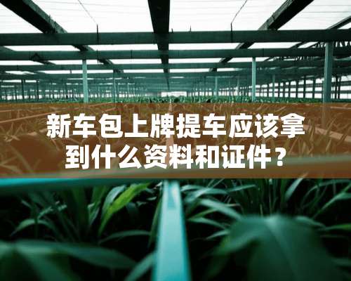 新车包上牌提车应该拿到什么资料和**？