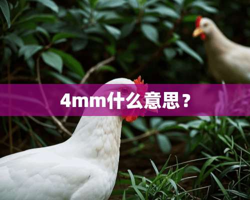 4mm什么意思？