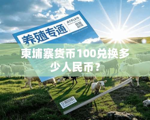 柬埔寨货币100兑换多少人民币？