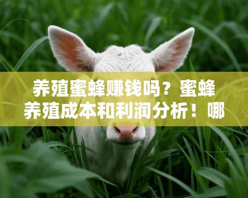 养殖蜜蜂赚钱吗？蜜蜂养殖成本和利润分析！哪些人不适合养殖蜜蜂？