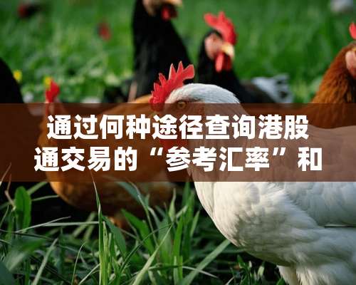 通过何种途径查询港股通交易的“参考汇率”和“结算汇率”？