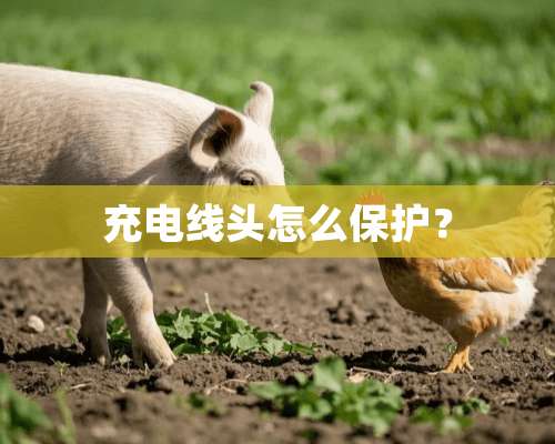 充电线头怎么保护？