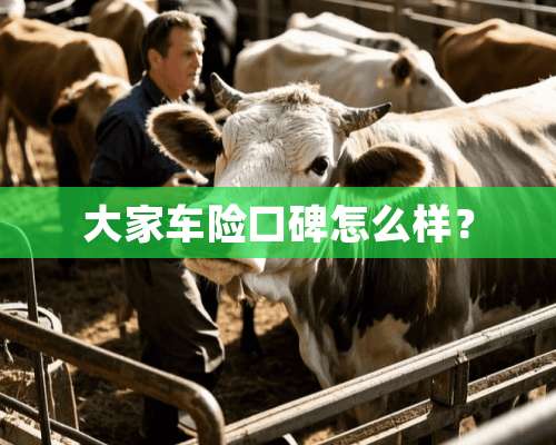 大家车险口碑怎么样？