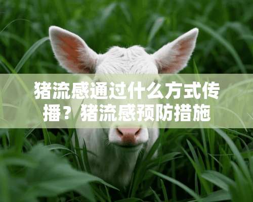 猪流感通过什么方式传播？猪流感预防措施