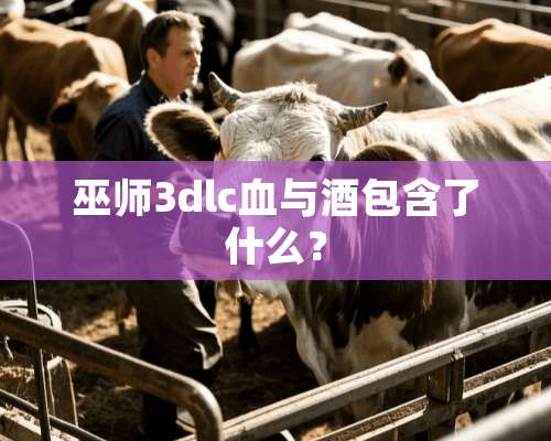 巫师3dlc血与酒包含了什么？