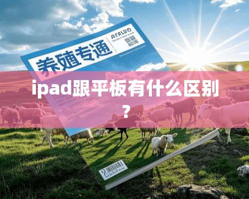 ipad跟平板有什么区别？