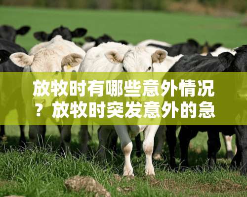 放牧时有哪些意外情况？放牧时突发意外的急救措施