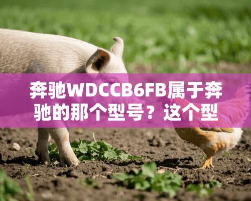 奔驰WDCCB6FB属于奔驰的那个型号？这个型号代表什么含义？