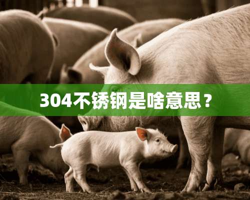 304不锈钢是啥意思？