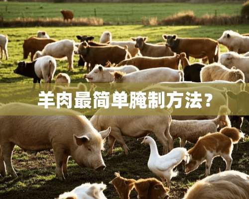 羊肉最简单腌制方法？