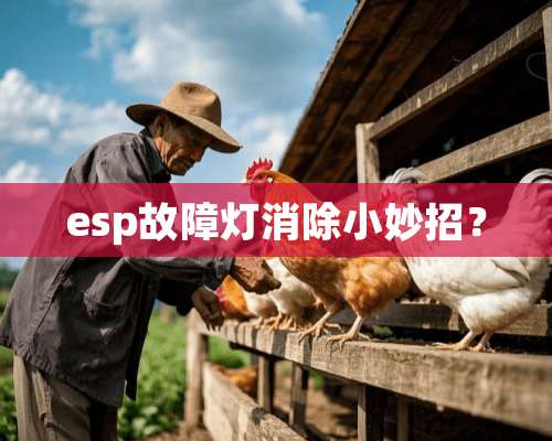 esp故障灯消除小妙招？