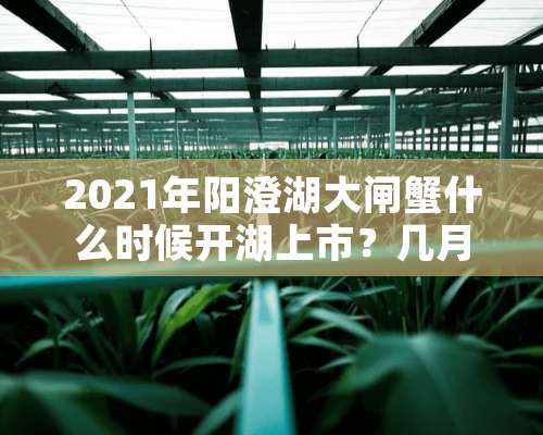 2021年阳澄湖大闸蟹什么时候开湖上市？几月份好吃？附真假辨别查询