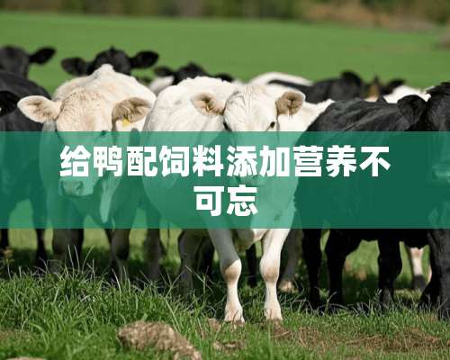 给鸭配饲料添加营养不可忘