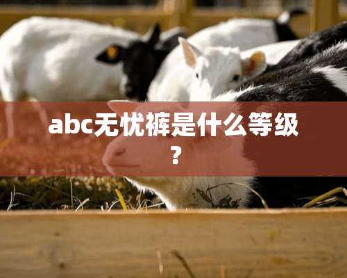 abc无忧裤是什么等级？