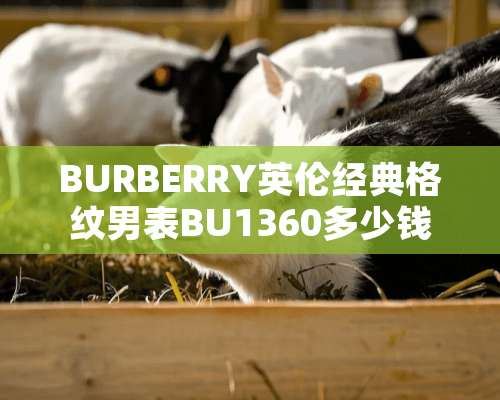 BURBERRY英伦经典格纹男表BU1360多少钱（真的）？