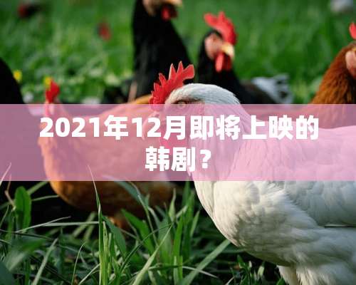 2021年12月即将上映的韩剧？