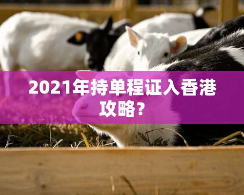 2021年持单程证入香港攻略？